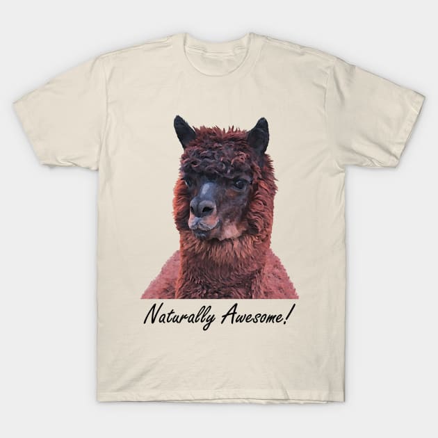 Naturally Awesome No.1 T-Shirt by MaryLinH